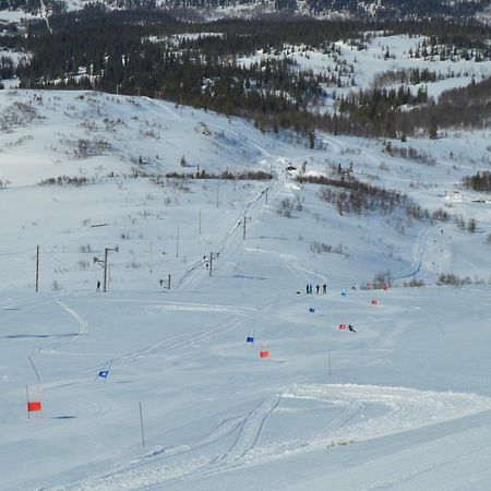 Blasjoens Stugby Stora Blasjon Екстериор снимка